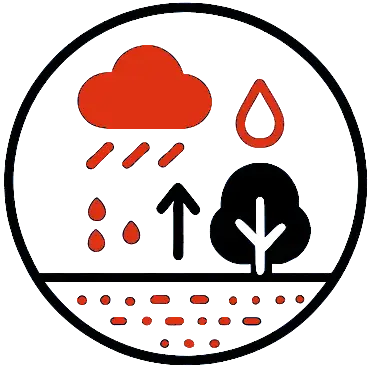 Regenwasserversickerung Dreieich 3 natürlichen wasserkreislauf image